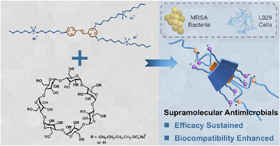 Host–Guest Antimicrobial Based on Conjugated Oligoelectrolyte and Cyclodextrin