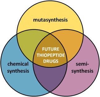 Thiopeptide Engineering: A Multidisciplinary Effort towards Future Drugs
