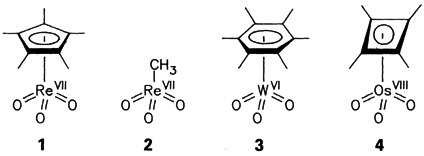 High Oxidation State Organometallic Chemistry, A Challenge—the Example of Rhenium