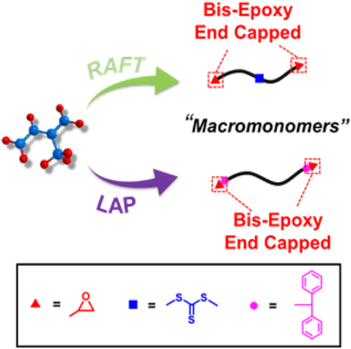 Preparation of bis-epoxy end capped macromonomers through anionic or RAFT polymerization