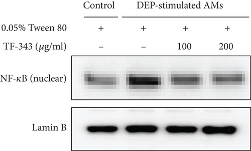 Details are in the caption following the image Details are in the caption following the image