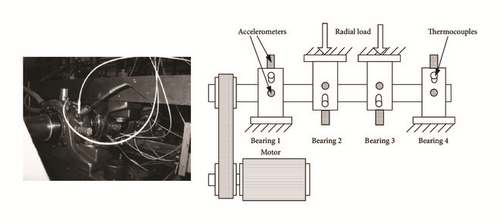 Details are in the caption following the image Details are in the caption following the image
