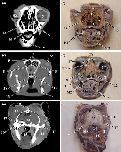 Details are in the caption following the image Details are in the caption following the image