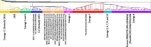 Details are in the caption following the image Details are in the caption following the image
