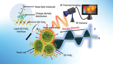 Enhanced Non-Invasive Radio Frequency Heating Using 2D Pyrite (Pyritene)