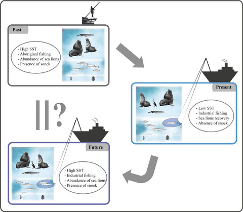 Back to the future? Late Holocene marine food web structure in a warm climatic phase as a predictor of trophodynamics in a warmer South-Western Atlantic Ocean