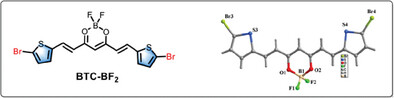 Synthesis, Crystal Structure, and Photophysical Properties of Bromothiophene-Functionalized BF2-Curcuminoid as a Versatile Building Block