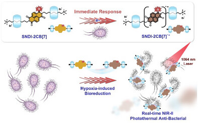 An Immediate Bacterial-Responsive Supramolecular Thio-Naphthalene Diimide: A Real-Time NIR-II Photothermal Anti-Bacterial