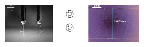 Details are in the caption following the image Details are in the caption following the image