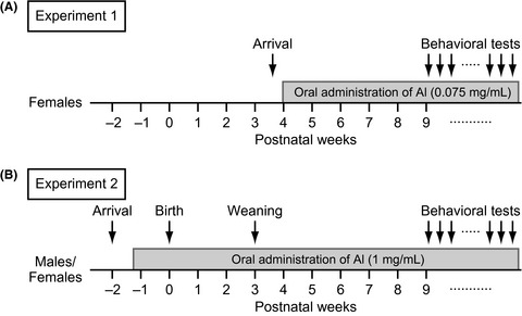 Behavioral effects of long-term oral administration of aluminum ammonium sulfate in male and female C57BL/6J mice