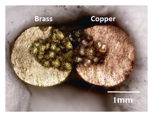Details are in the caption following the image