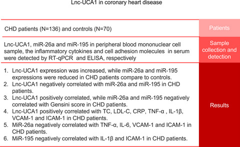 LncRNA UCA1, miR-26a, and miR-195 in coronary heart disease patients: Correlation with stenosis degree, cholesterol levels, inflammatory cytokines, and cell adhesion molecules