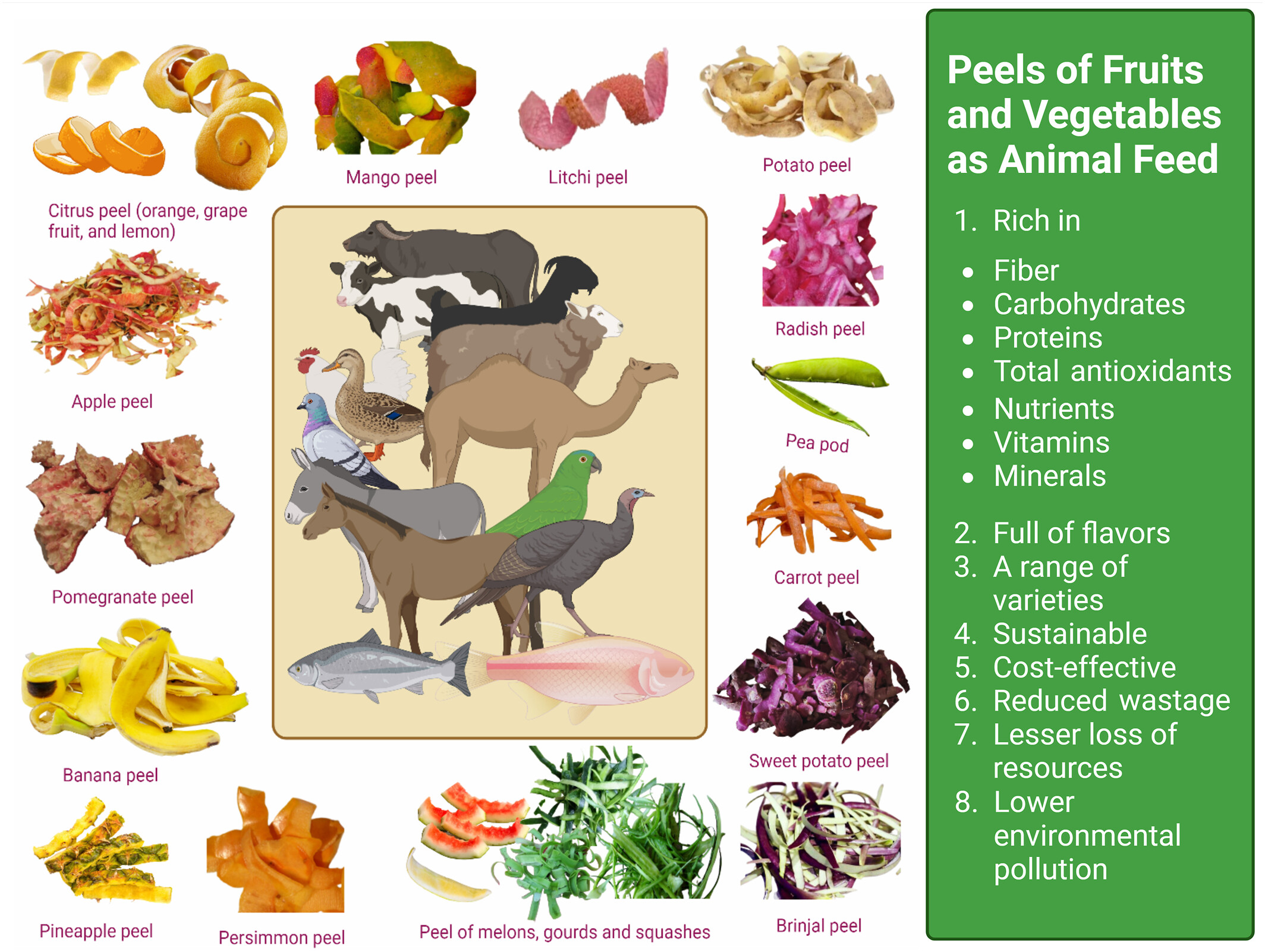 Environmental and Nutritional Value of Fruit and Vegetable Peels as Animal Feed: A Comprehensive Review Issue 2, 2025