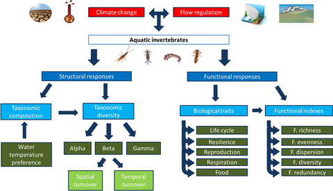 Structural and functional responses of invertebrate communities to climate change and flow regulation in alpine catchments