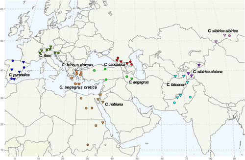 Details are in the caption following the image Details are in the caption following the image