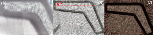 Details are in the caption following the image Details are in the caption following the image