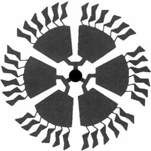 A Convergent Synthesis of a Carbohydrate-Containing Dendrimer