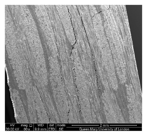 Details are in the caption following the image