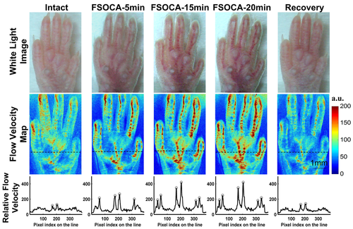 Details are in the caption following the image Details are in the caption following the image