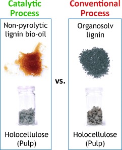 Catalytic Biorefining of Plant Biomass to Non-Pyrolytic Lignin Bio-Oil and Carbohydrates through Hydrogen Transfer Reactions