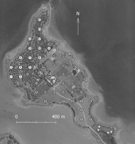 Details are in the caption following the image