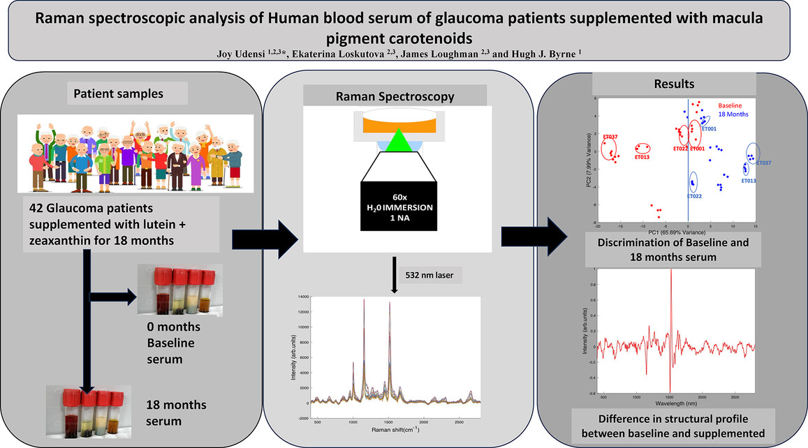 Raman spectroscopic analysis of human blood serum of glaucoma patients supplemented with macular pigment carotenoids