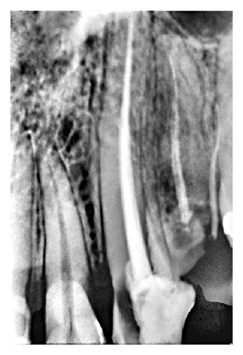 Details are in the caption following the image Details are in the caption following the image