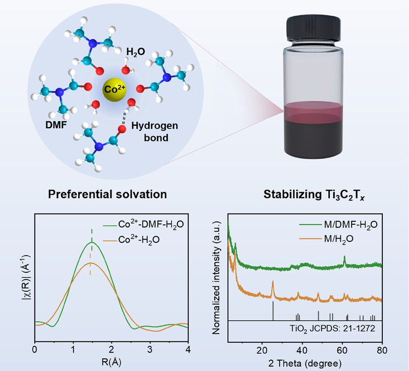 Solvation structure design for stabilizing MXene in transition metal ion solutions