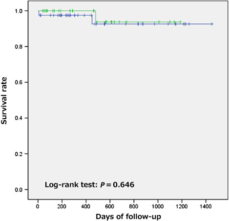 Is complete stone removal for choledocholithiasis always necessary in extremely elderly patients?