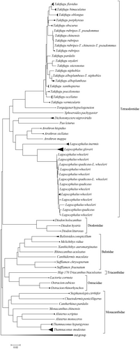 Details are in the caption following the image Details are in the caption following the image