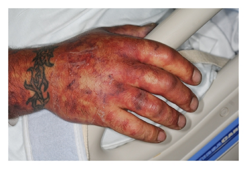 Details are in the caption following the image Details are in the caption following the image