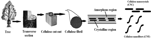 Details are in the caption following the image