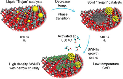 En Route to High-Density Chiral Single-walled Carbon Nanotube Arrays using Solid Trojan Catalysts