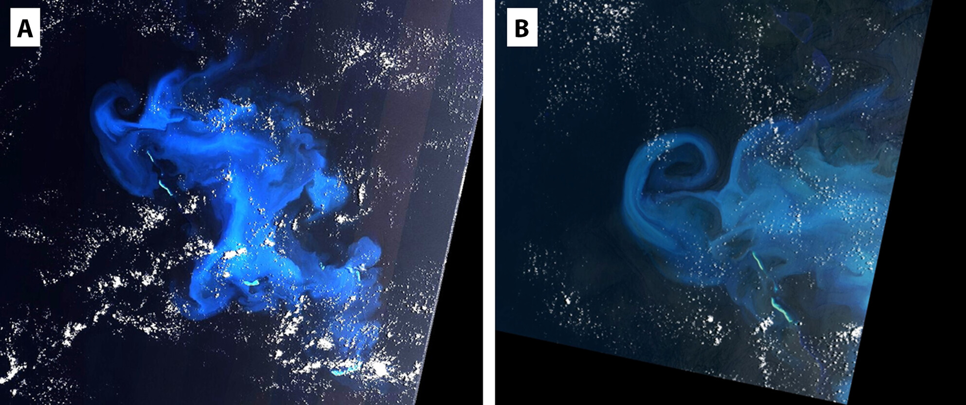 The first 25 years of satellite carbonate sedimentology: What have we learned?