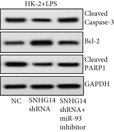 Details are in the caption following the image