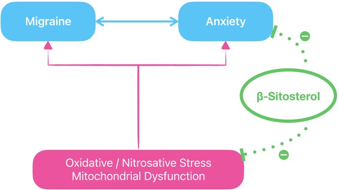 Effects of β-sitosterol on anxiety in migraine-induced rats: The role of oxidative/nitrosative stress and mitochondrial function