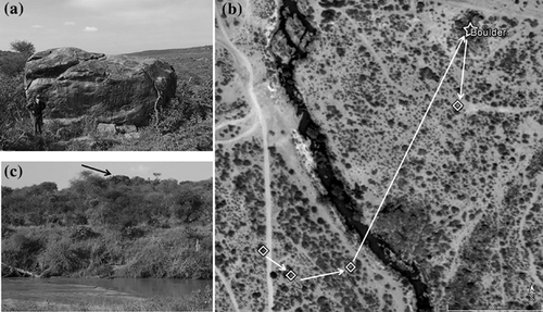 Details are in the caption following the image