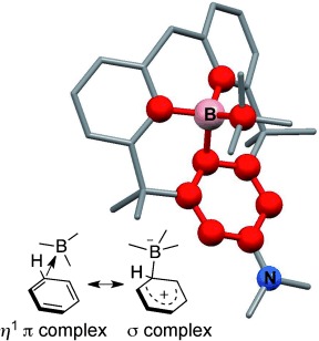 Boracyclophanes: Modulation of the σ/π Character in Boron–Benzene Interactions