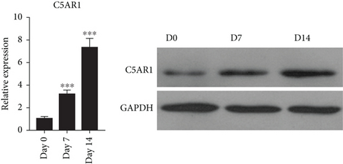 Details are in the caption following the image