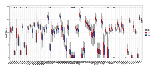 Details are in the caption following the image Details are in the caption following the image