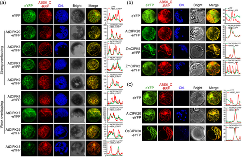 Details are in the caption following the image Details are in the caption following the image