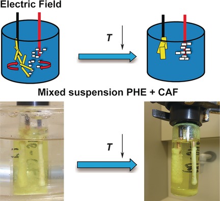 Solid Separation from a Mixed Suspension through Electric-Field-Enhanced Crystallization