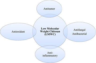 Acid Hydrolysis of Chitosan to Oligomers Using Hydrochloric Acid