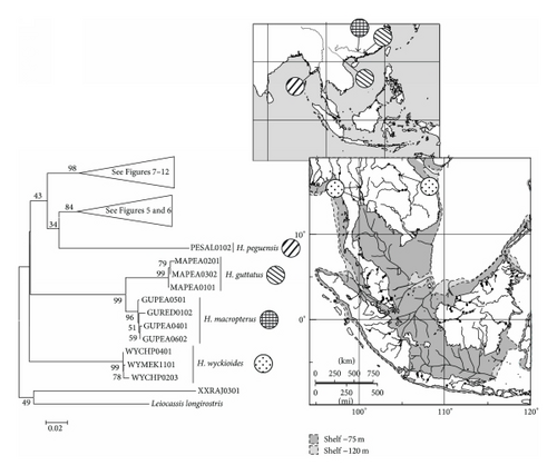 Details are in the caption following the image