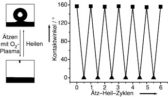 Bioinspired Self-Healing Superhydrophobic Coatings