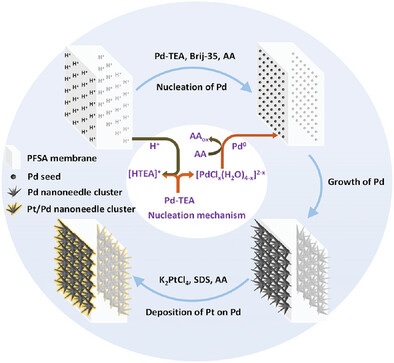 Ultrathin Ultralow-Platinum Catalyst Coated Membrane for Proton Exchange Membrane Fuel Cells