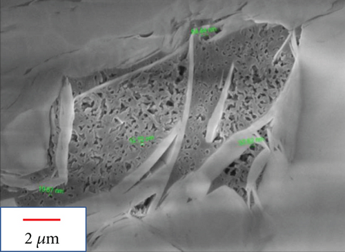Details are in the caption following the image