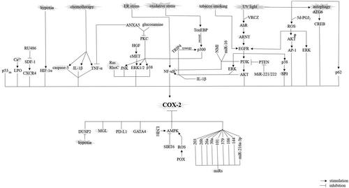 Details are in the caption following the image Details are in the caption following the image