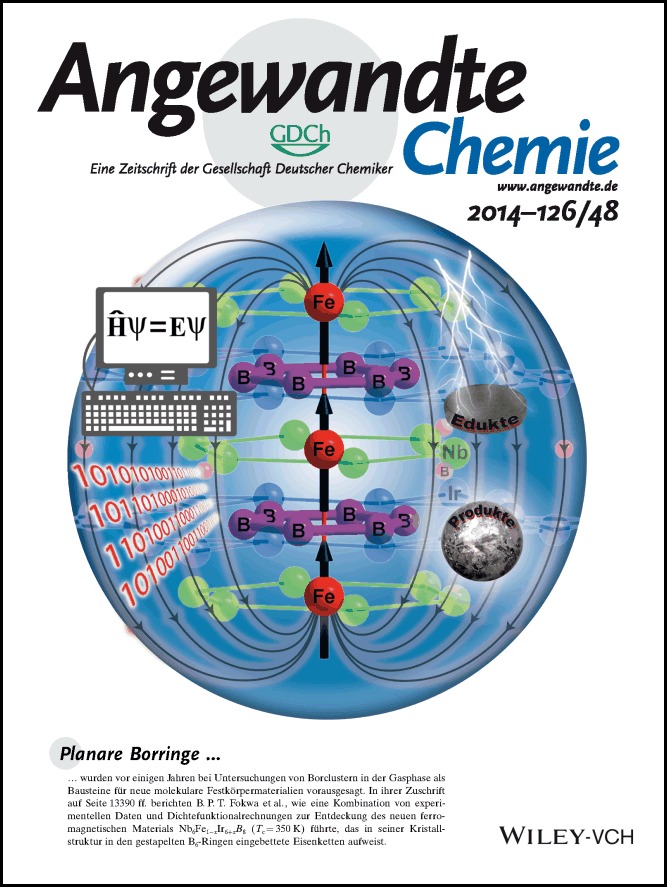 Rücktitelbild: Unexpected Synergy between Magnetic Iron Chains and Stacked B6 Rings in Nb6Fe1−xIr6+xB8 (Angew. Chem. 48/2014)