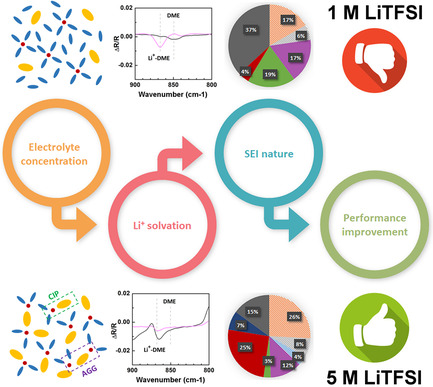 Effects of the Electrolyte Concentration on the Nature of the Solid Electrolyte Interphase of a Lithium Metal Electrode